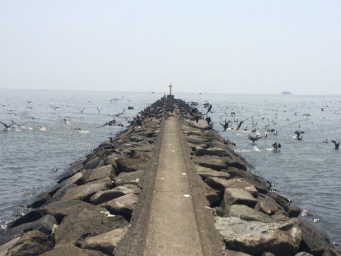 幕張の浜