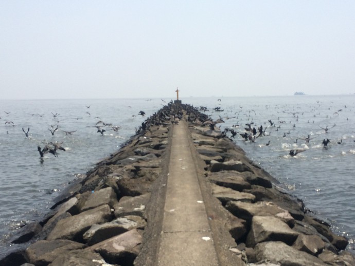 幕張の浜