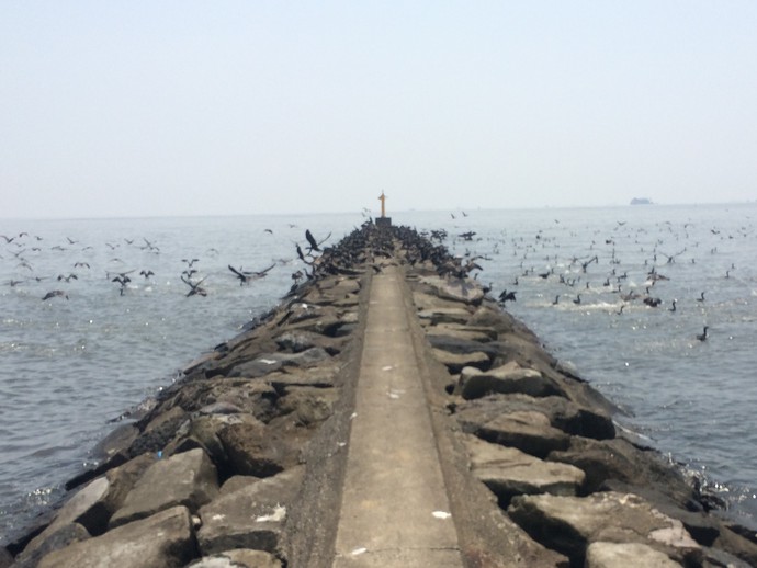 幕張の浜