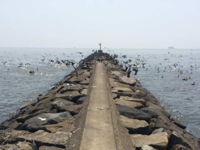 幕張の浜