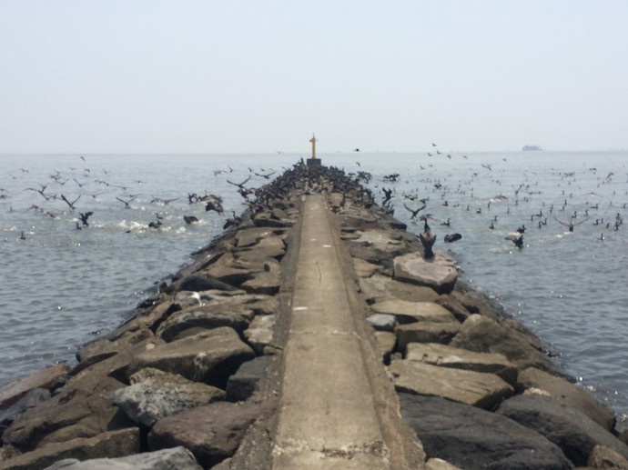 幕張の浜