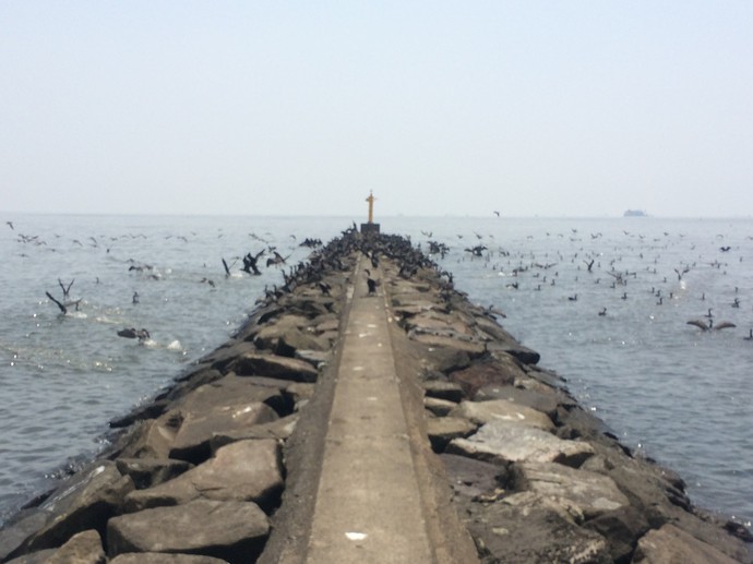 幕張の浜