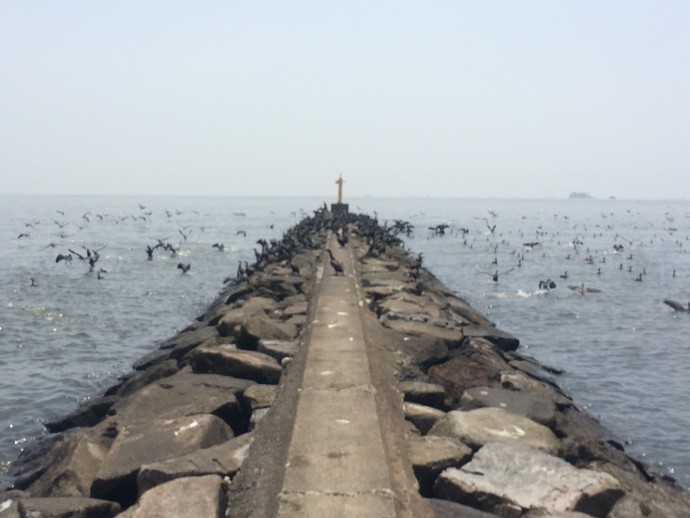 幕張の浜
