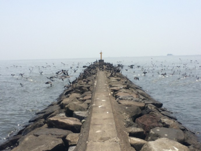 幕張の浜