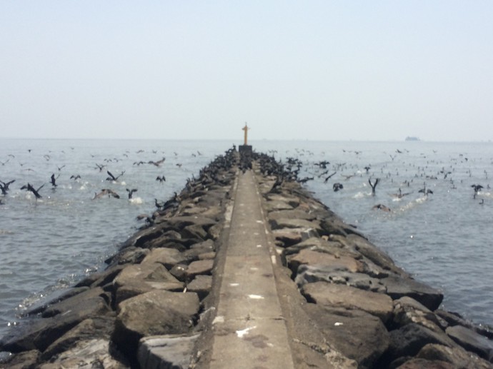 幕張の浜