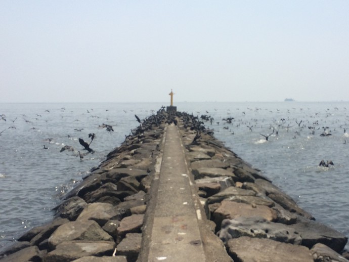 幕張の浜