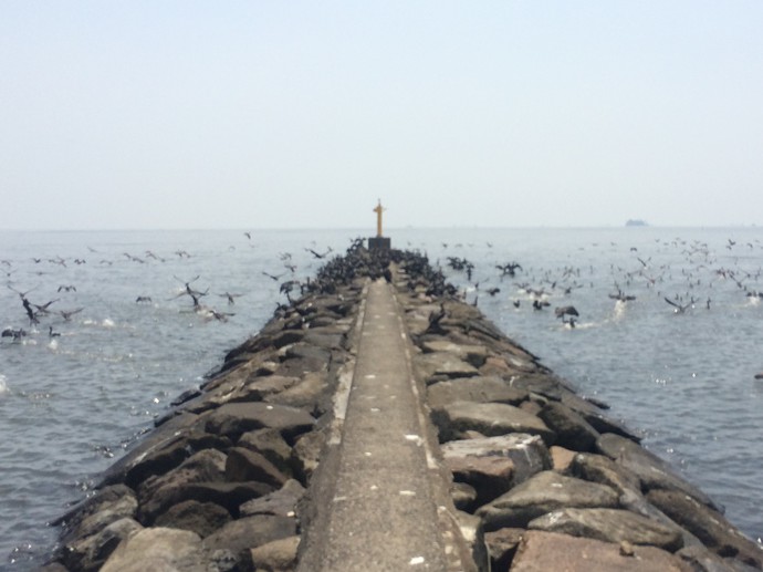 幕張の浜