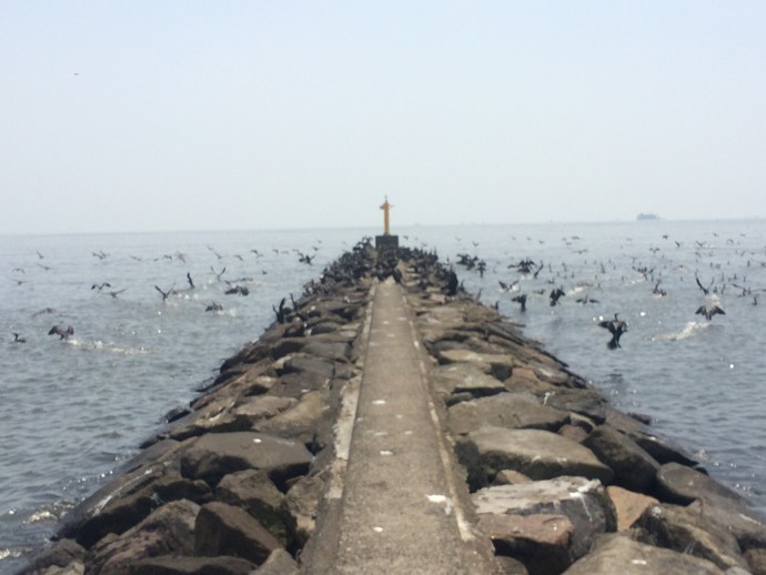 幕張の浜