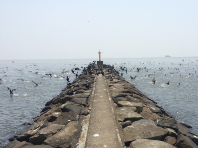 幕張の浜