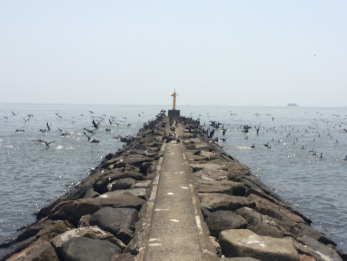 幕張の浜