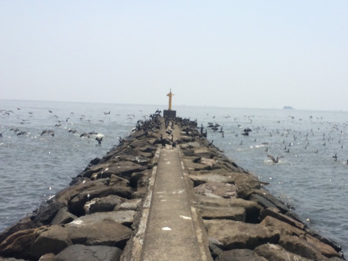 幕張の浜