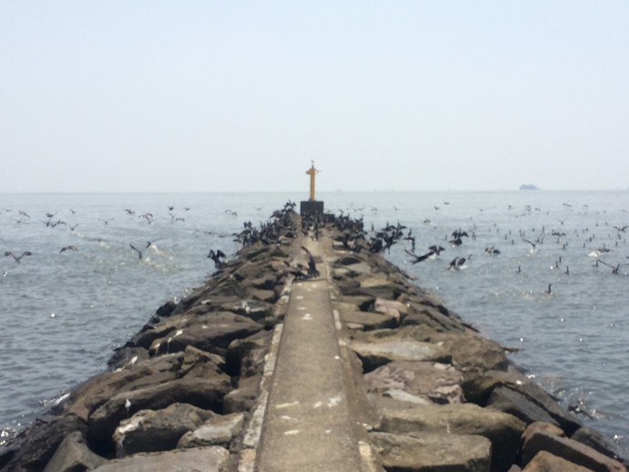 幕張の浜