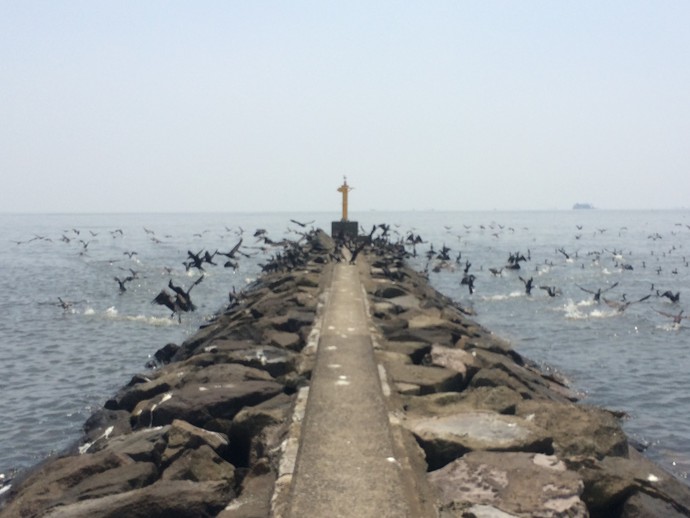 幕張の浜