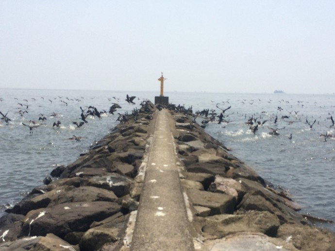幕張の浜