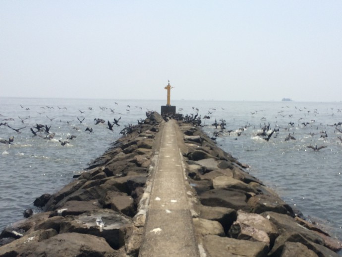 幕張の浜