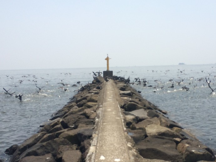 幕張の浜