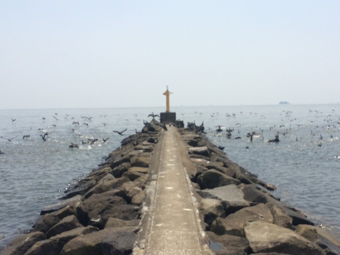 幕張の浜
