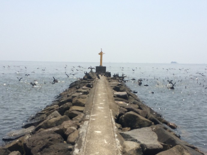 幕張の浜