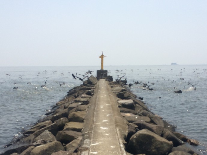 幕張の浜