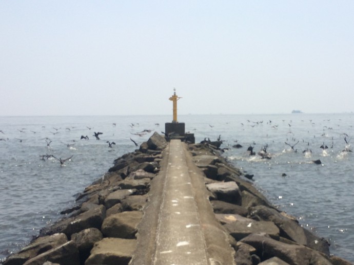 幕張の浜