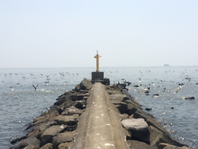 幕張の浜