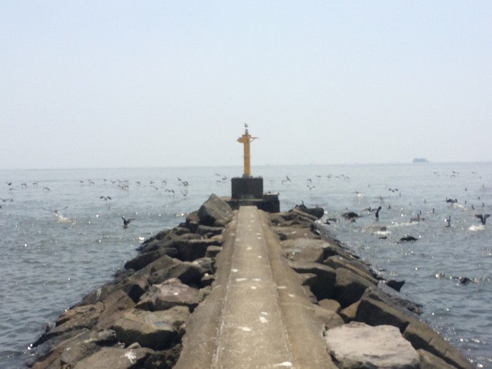 幕張の浜