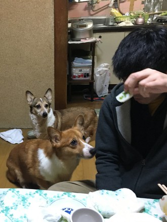 年末年始5泊6日の関西、飲んで食って～