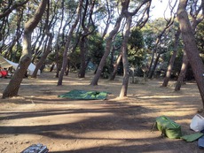 第2回キャンプ：ちがさき柳島キャンプ場