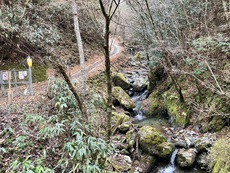 プチ雪山の京丈山【2024/12/14】