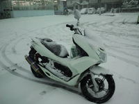 PCX@雪上