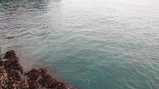 5/6出撃 2022/05/16 00:21:54