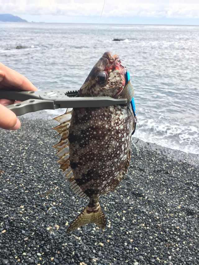 何事もカタチから 外道釣り