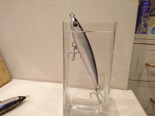 Amazon.co.jp: シマノ(SHIMANO) オシア ペンシル 160F ジェット