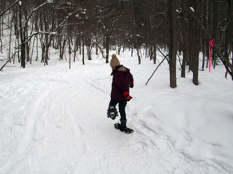 雪中キャンに行ってキタ