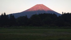 夏キャンプツーリング in ふもとっぱらキャンプ場