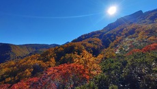 大雪山（黒岳）紅葉と日の出オートキャンプ場