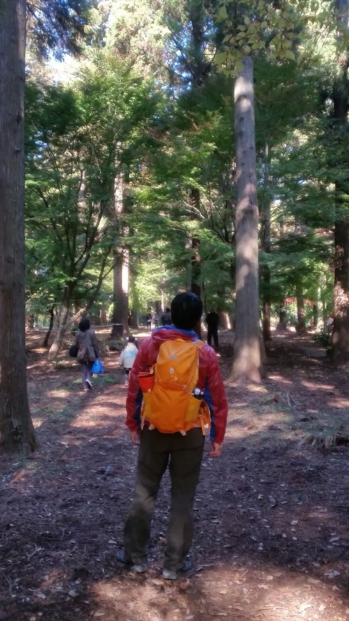 近くの里山で紅葉を