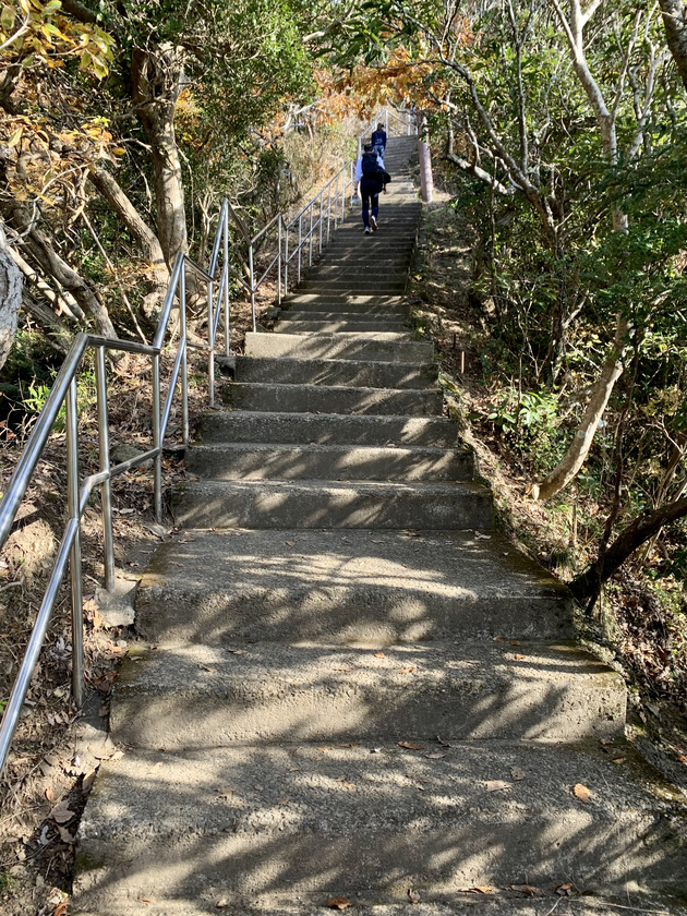 最も安易な冬登山?! 日本百低山 鋸山