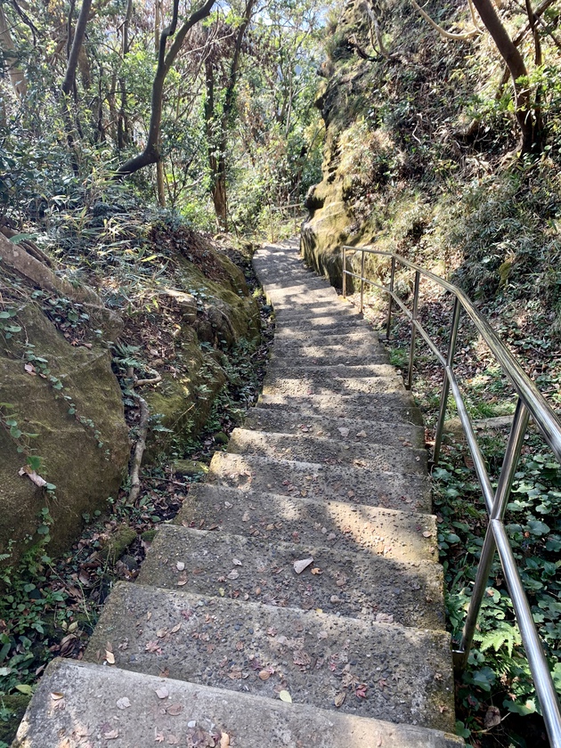 最も安易な冬登山?! 日本百低山 鋸山