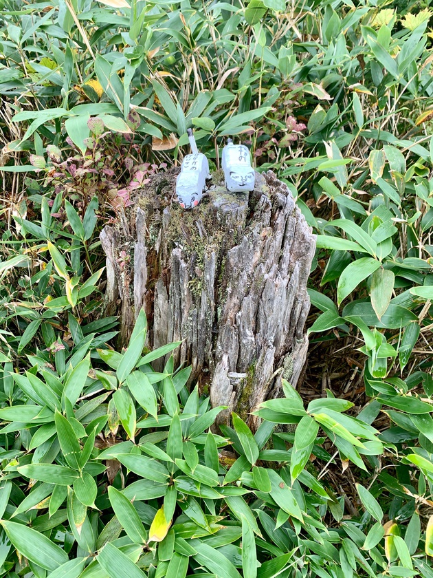 最も安易な冬登山?! 日本百低山 鋸山