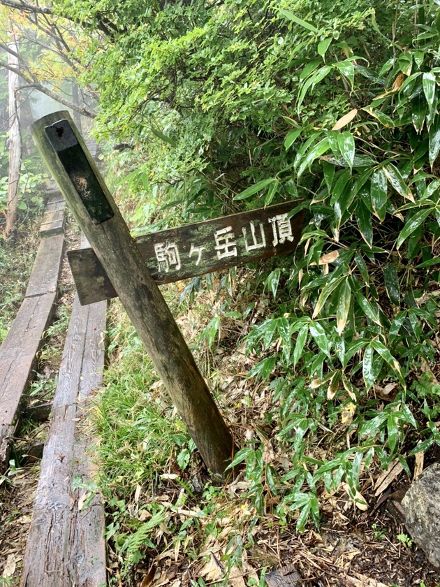 最も安易な冬登山?! 日本百低山 鋸山