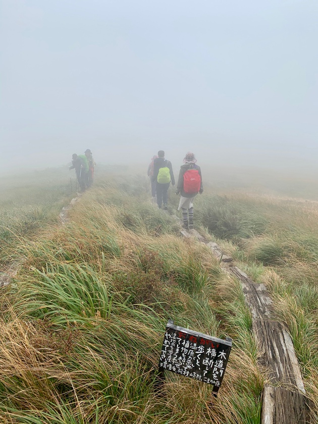 最も安易な冬登山?! 日本百低山 鋸山