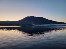 芦ノ湖(20250427) 生体反応