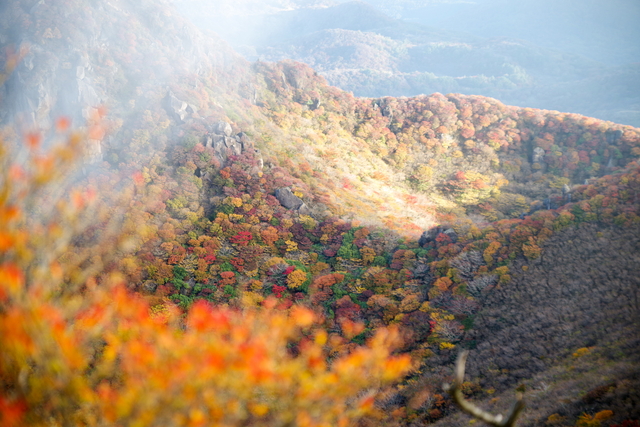 2016くじゅう紅葉