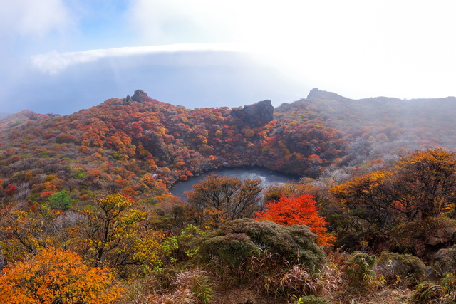 2016くじゅう紅葉