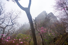 鹿納山～五葉岳～夏木山(翌日編)