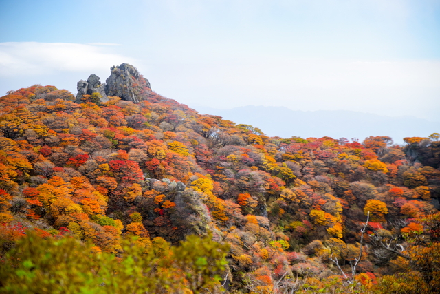 2016くじゅう紅葉