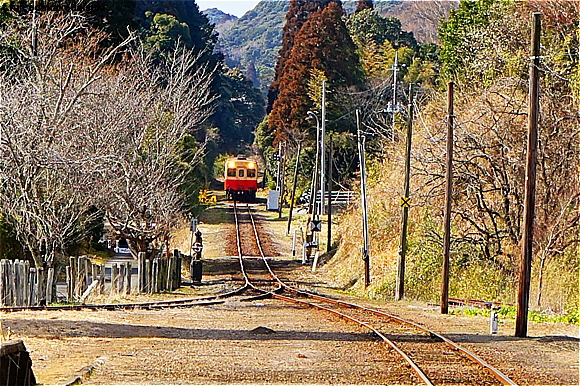 3年ぶりの森まきんへ　