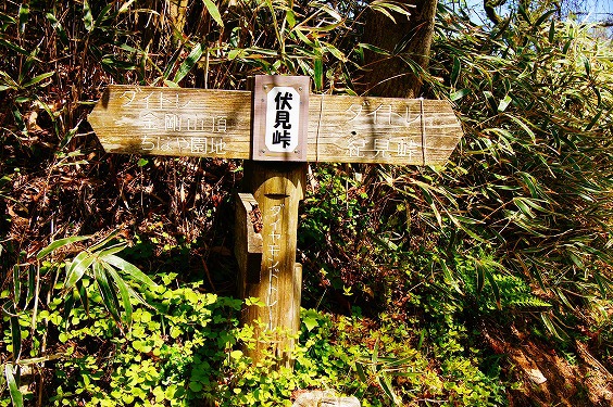 ソロキャンの聖地の次は大阪誰でも登る山へ～