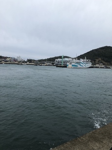 伊良湖でキス